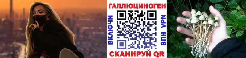 mega онион  Трёхгорный  Псилоцибиновые грибы Cubensis  цена  